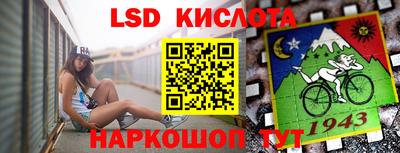 spice Кунгур