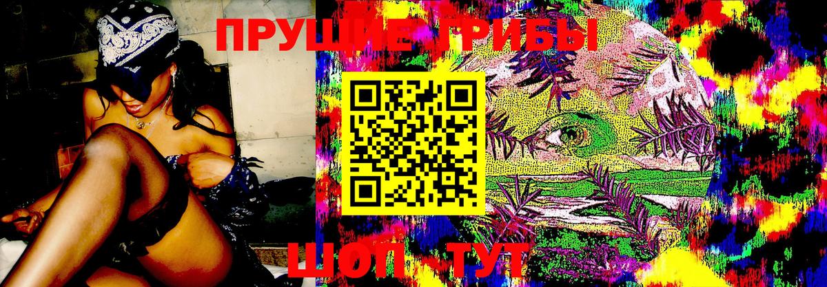 Псилоцибиновые грибы мухоморы Евпатория