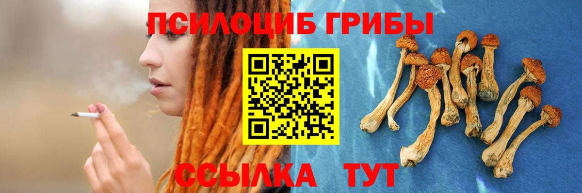 Псилоцибиновые грибы Psilocybine cubensis  Вход с VPN  Евпатория 